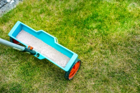 When and How to Fertilize Your Lawn in North Texas