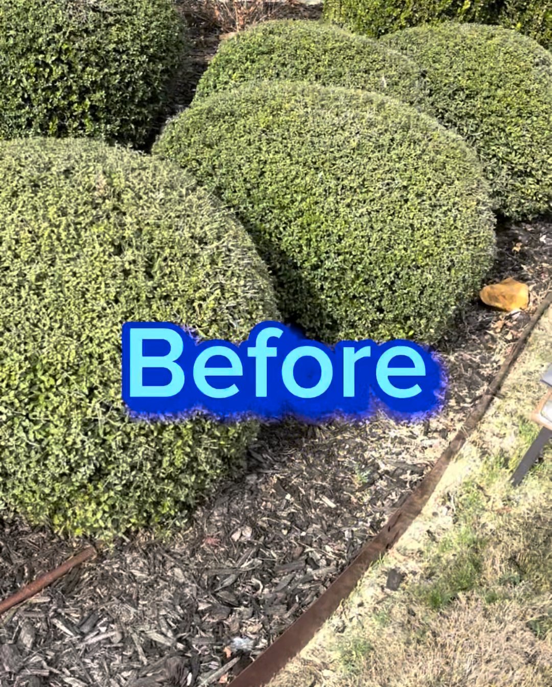 Professional Mulch Application in Aubrey, TX