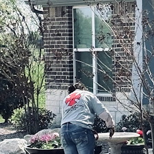 Top-Quality-Flowerbed-Spring-Cleanup-Crape-Myrtle-Trimming-in-Sanger-TX-Refreshing-Your-Landscape-for-Spring 1